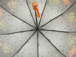 Зонт женский Zicco, арт.2375-4_product